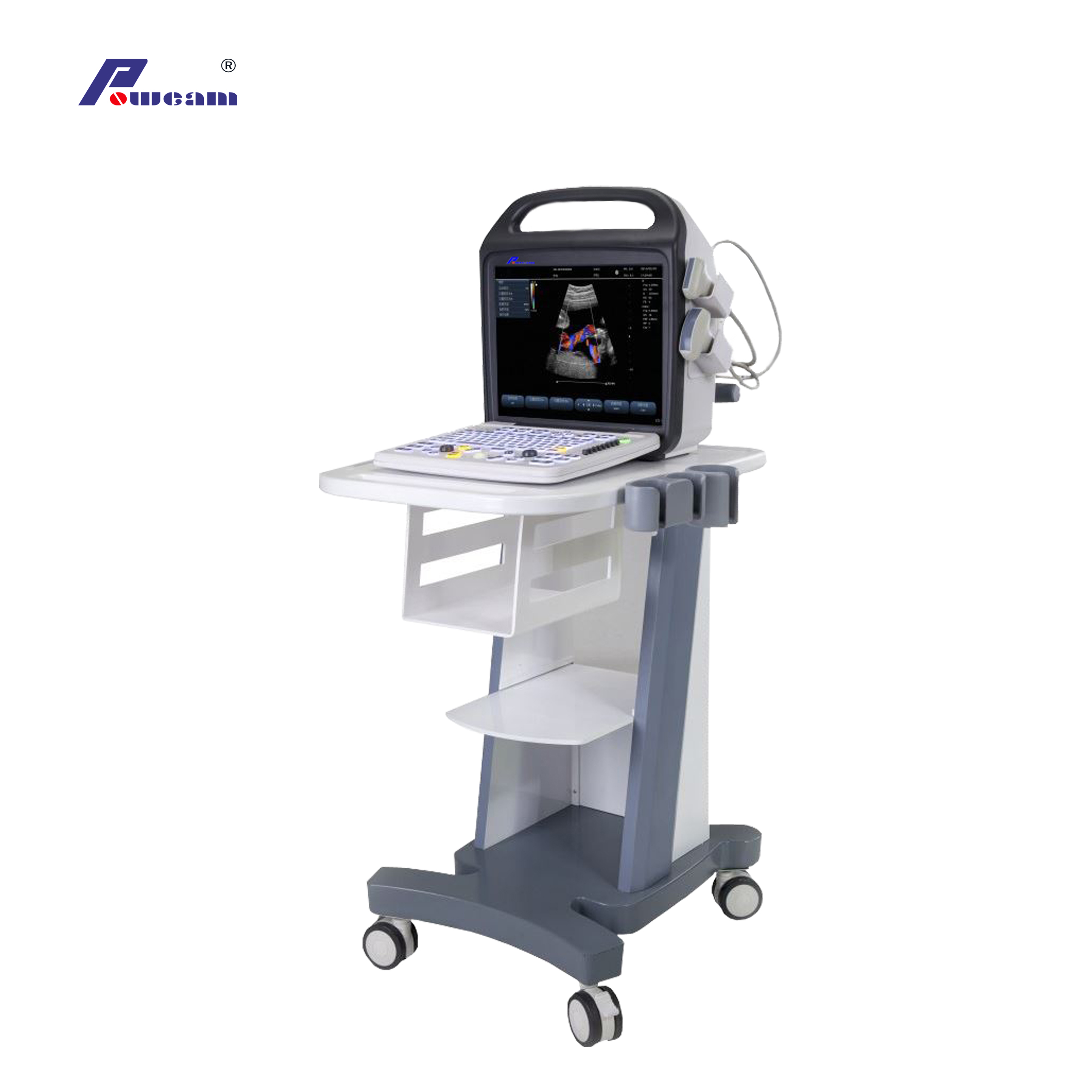 Ultrasons Doppler Couleur portable de l'hôpital (C10)