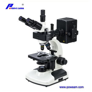 Microscope binoculaire biologique fluorescent professionnel
