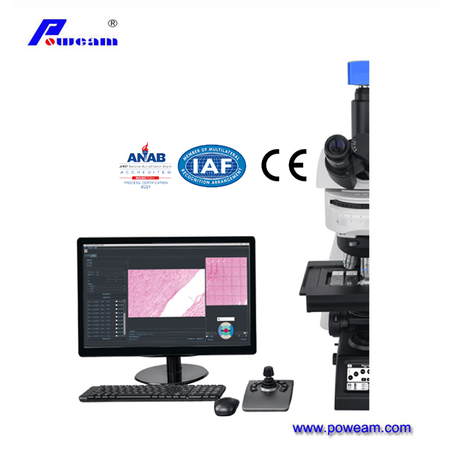 Microscope biologique professionnel de l'écran numérique LCD avec logiciel