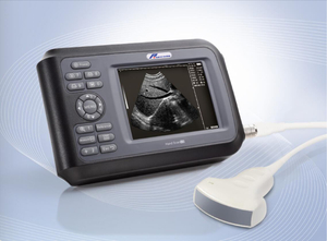 Scanner à ultrasons pour chiens de berger Samsung en ligne à vendre