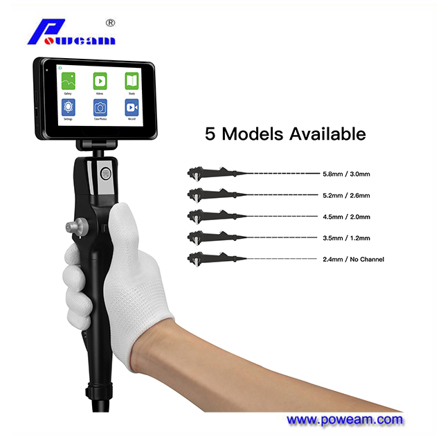 Laryngoscope vidéo flexible portable